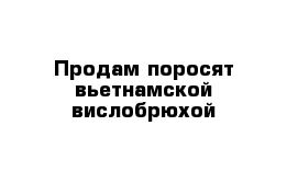 Продам поросят вьетнамской вислобрюхой